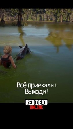 🐎 когда твоя лошадь немного...