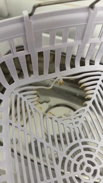 КАК У МЕНЯ СГОРЕЛА УЗ-МОЙКА #ногти #маникюр #shortsvideo #nails смотреть онлайн