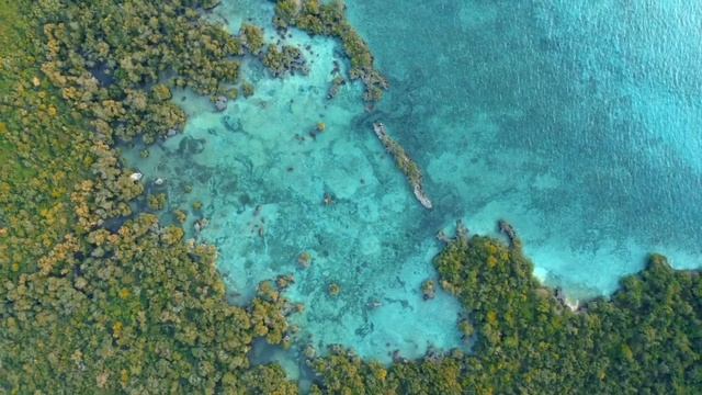 4K Maldives смотреть онлайн