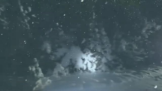 Футаж Ночь в тайге смотреть онлайн