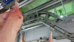 Подвесные пути для полутуш. Компания "Мастера Мясного Дела"