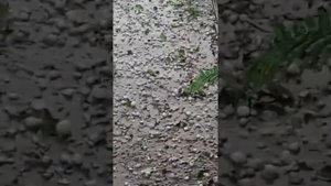 Град в Коломенском районе