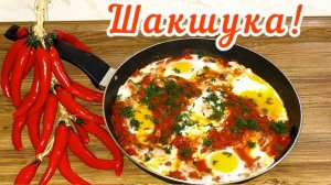 Знаменитая Шакшука или Яичница 🍳 с овощами!