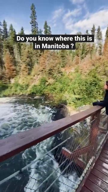 Do you know where this is in Manitoba ? #shorts #travelmanitoba #exploremanitoba смотреть онлайн