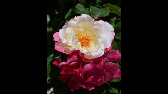 2018 05 21., 1.rész, Fertőd, úti-videó смотреть онлайн