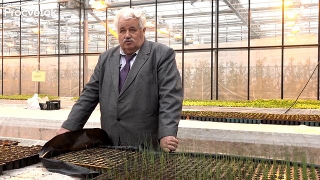 ПОДКОРМИТЕ ЧЕСНОК ТАК ВЕСНОЙ и он вырастет крупным, здоровым, устойчивым к болез