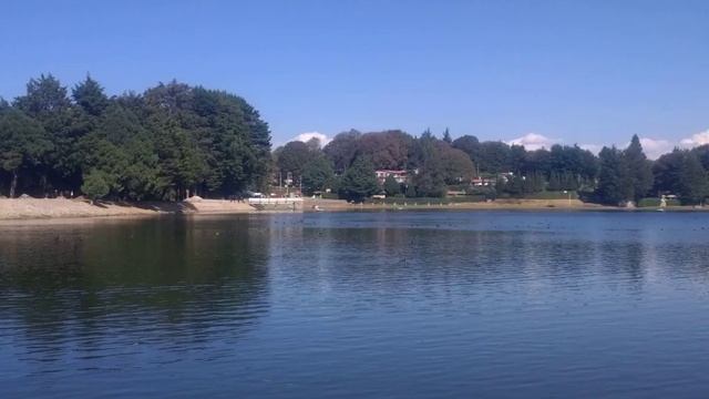 Meringue - Wikipedia Article Audio смотреть онлайн