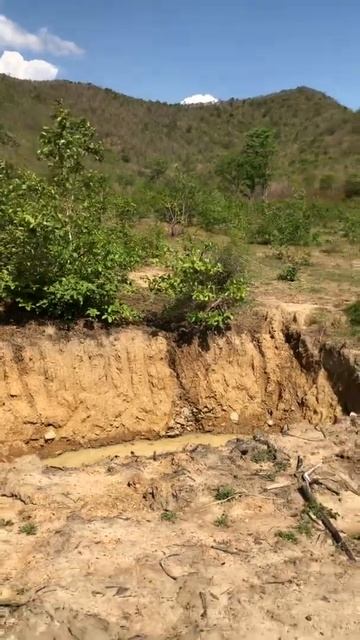 RGD-5 hand grenade. смотреть онлайн