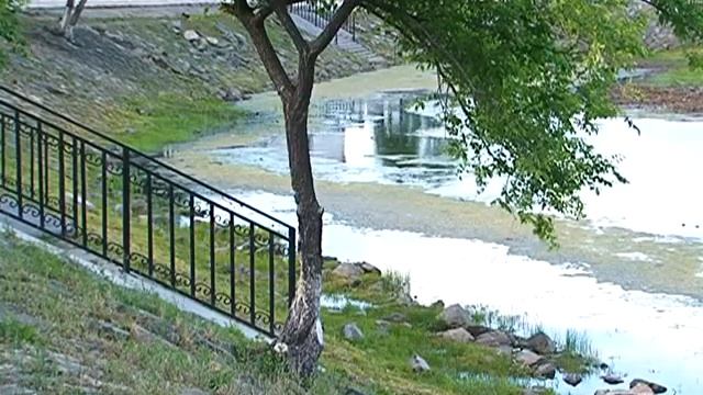 Водоем парка «Дружбы» чистят с помощью биологически активного препарата смотреть онлайн