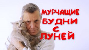 МУРЧАЩИЕ БУДНИ С ЛУНЕЙ).В КОНЦЕ ВИДЕО МУЗЫКАЛЬНАЯ ЗАРИСОВКА С ЛУНЕЙ.😊