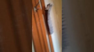 Видео WhatsApp 2025-02-26 в 16.56.42_04255a64