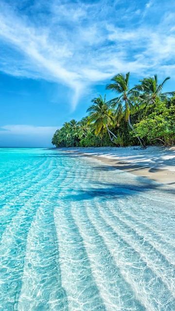 60 Seconds Of Best Places In Maldives #shorts смотреть онлайн