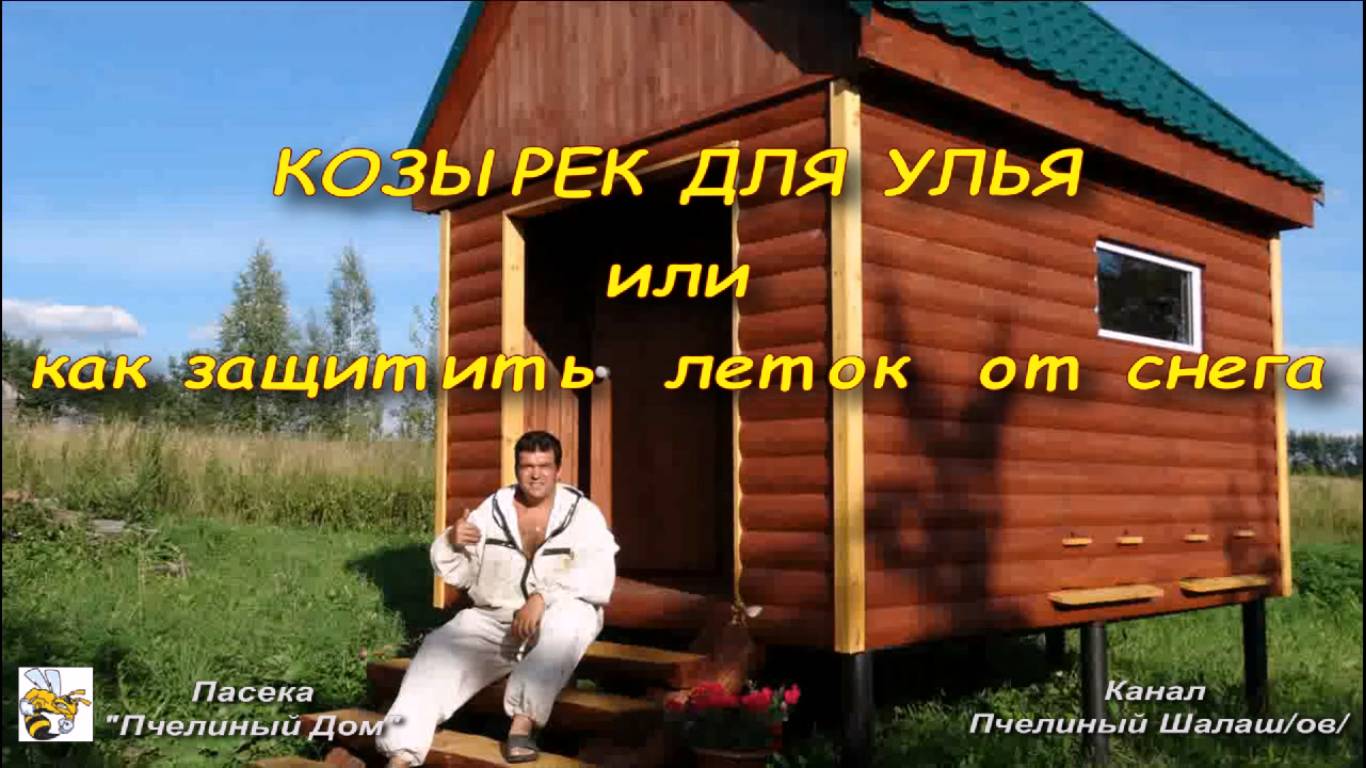 КОЗЫРЕК ДЛЯ ЛЕТКА, или как защитить леток от снега и синиц смотреть онлайн