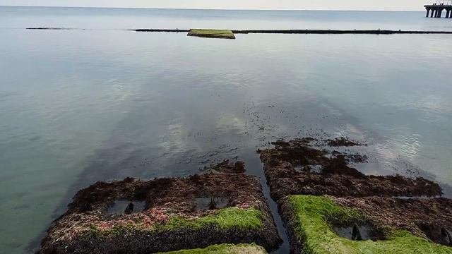 Морской Мир