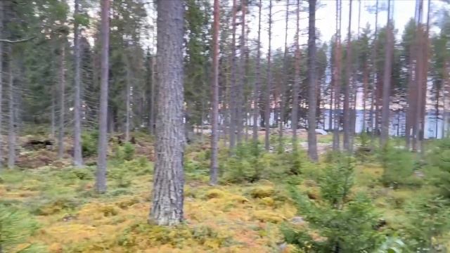 Карелия осенью