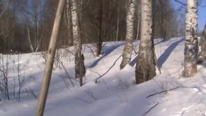 Рыбалка на реке Чузик