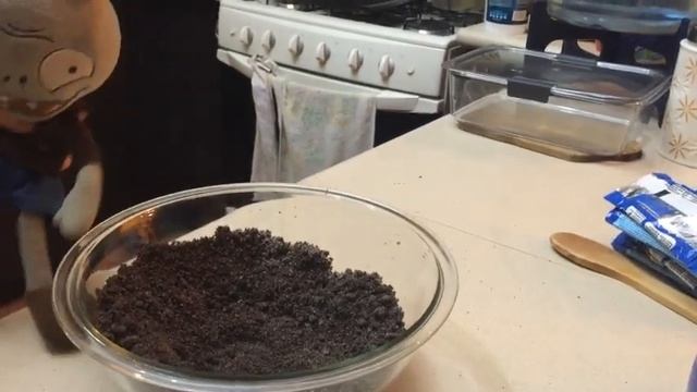 Cocinando con cony 3: cake pops de Oreo смотреть онлайн