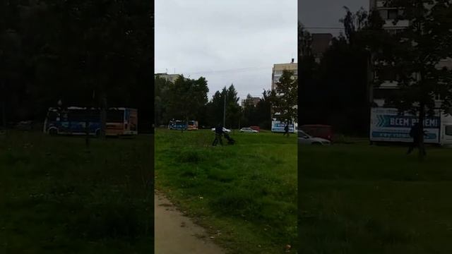 Зеленые районы - место для жизни смотреть онлайн