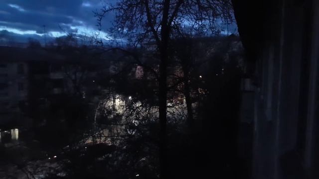 птица AUTO-SOS - Птица , а кричит как сигнализация смотреть онлайн