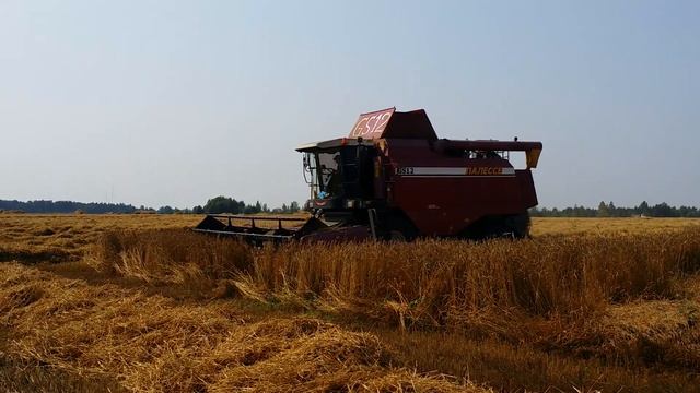 Модернизированный GS 12, КЗС-1218, Палесье на уборке пшеницы 2015, Беларусь Минская обл. смотреть онлайн