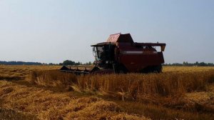Модернизированный GS 12, КЗС-1218, Палесье  на уборке пшеницы  2015, Беларусь Минская обл.