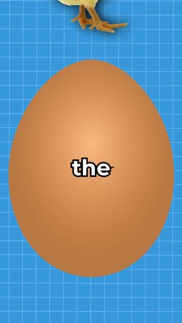 Why Are Chicks Born Yellow?  shorts viral