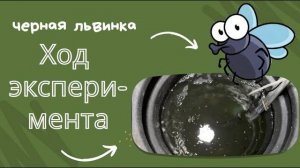 Эксперимент с рыбой продолжается