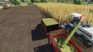 Пионер | #11 | Уборка кукурузы на силос | Farming Simulator 19| Timelapse