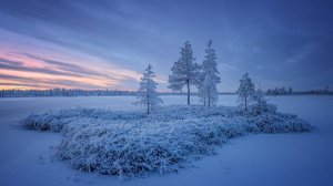 Волшебство зимнего урала 2
