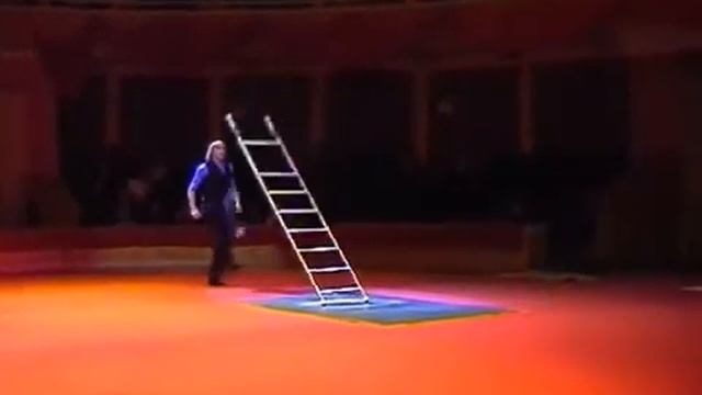 Free ladder balance act D. Bondarev смотреть онлайн