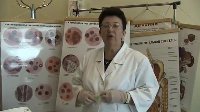 15. Значение микрофлоры в нашем организме.