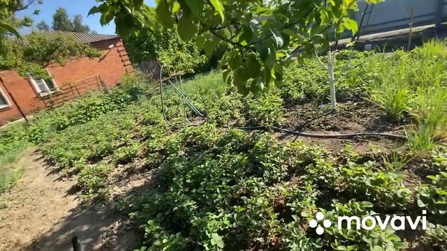 240ч🏡#Купили дом в станице/Закупились/Теперь отдых с комфортом будет