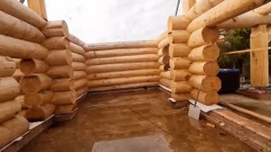 Толстое бревно для сруба