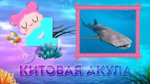 7 Самых Больших Морских Существ, Которых вы Когда-Либо Видели! Подпишись и поставь лайк!