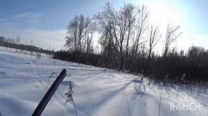 #Охота в Новосибирской области Черепановский район#заяц