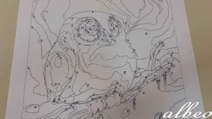 Печать на синтетическом матовом холсте для плоттеров Albeo Art-Canvas SC230