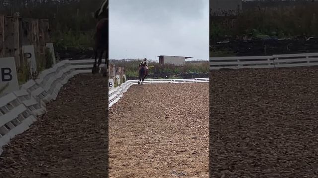 Выездка без амуниции: Даша проходит маршрут на кордео смотреть онлайн