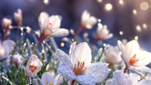 Семейные отношения - Оригинальное наказание...