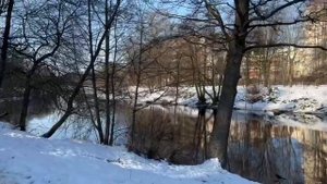 А природа уже расцветает