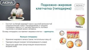 Строение кожи урок 4