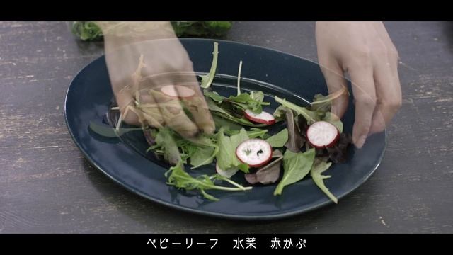 お花畑のお魚サラダ -flower garden fish salad- смотреть онлайн