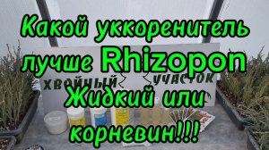 🌲Какими уккоренителями буду пользоваться в 2025 г Rhizopon Жидкий уккоренитель и корневин🌲