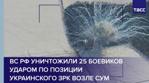 ВС РФ уничтожили 25 боевиков ударом по позиции украинского ЗРК возле Сум