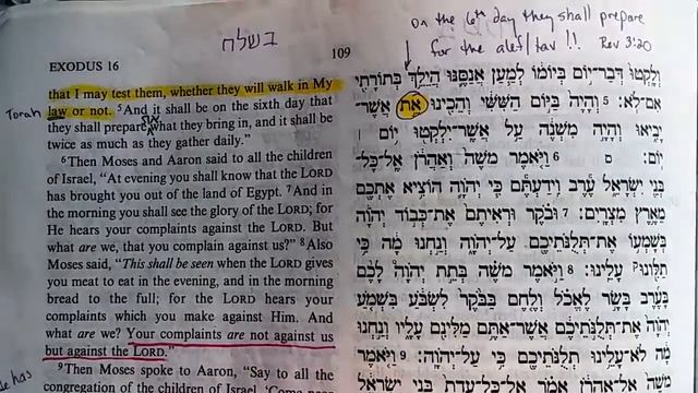 (#4) Two Alef Tav nuggets in Exo 16:5 and 9 смотреть онлайн