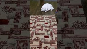 Игруля