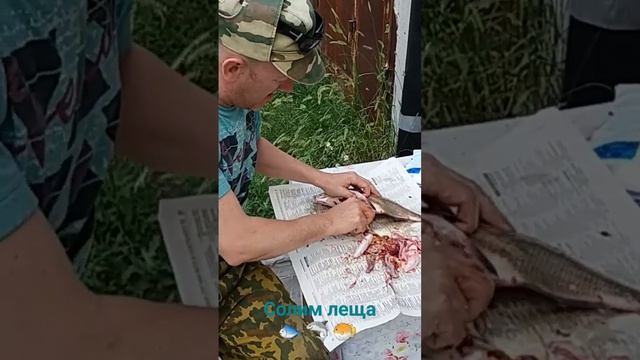 Солим леща 🐟 🦈 🐡 🐠