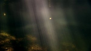 Чудеса жизни 1 серия «Матрица жизни» (документальный сериал, 2013)