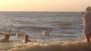 08.08.2018г. Пляж с.Береговое, Бахчисарайского р-на, вечером