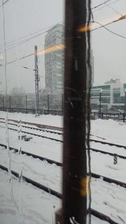 Сочи: курорт в снегу ❄️🌴❄️
