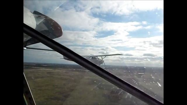 БЕРКУТ В ПАРЕ С ЦЕСНОЙ смотреть онлайн